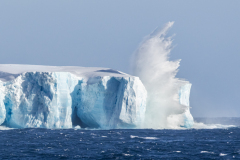 20221031-IMG-4263-Canon-EOS-R7-Edit-2