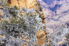 20240314-IMG-0031-Canon-EOS-R5-EF24-70mm-f-2.8L-II-USM-2