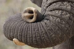Karen-Top-101-2023-Africa-Geographic-Photographer-of-the-Year-1-1-scaled-1